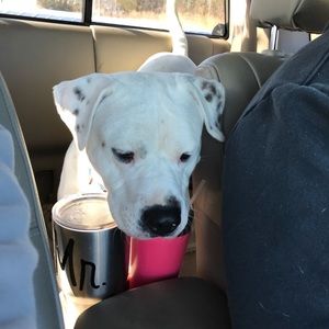 Meet your Posher, Haley